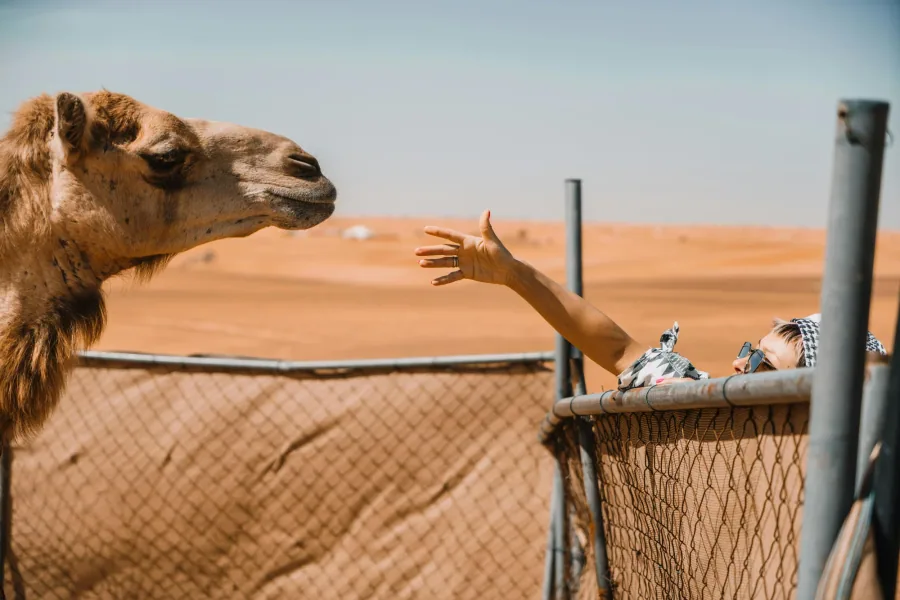 Desert adventure photo 9