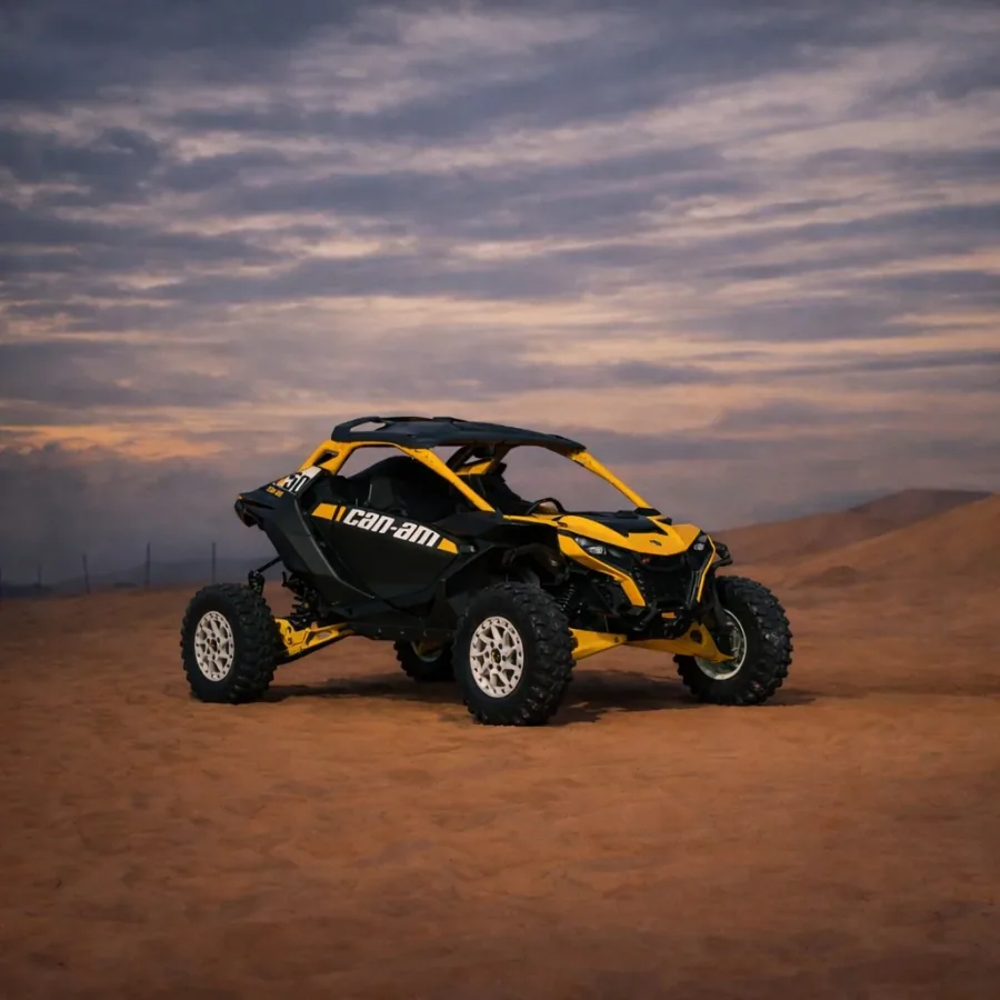 Desert adventure photo 28