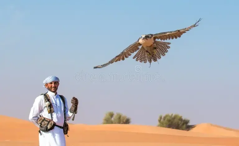 Desert adventure photo 1