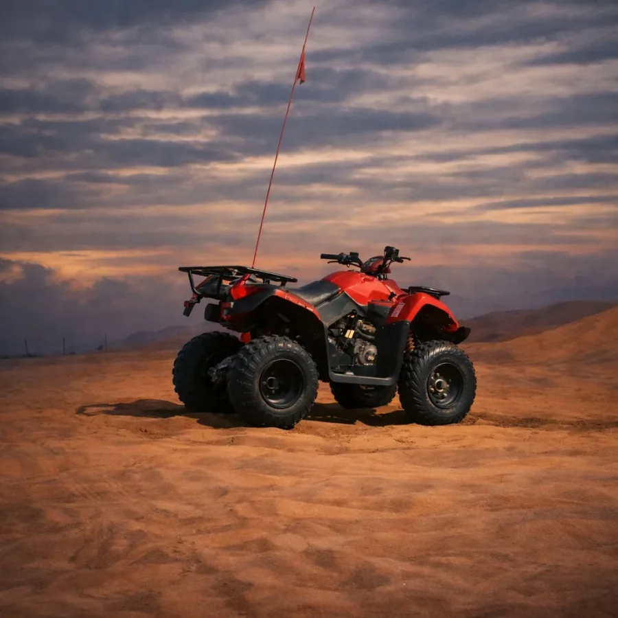 Desert adventure photo 32