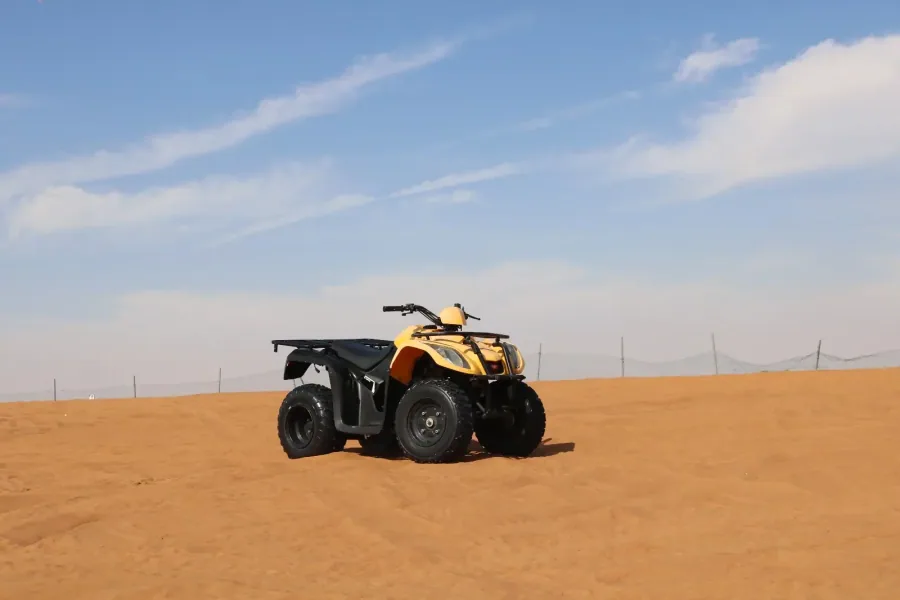 Desert adventure photo 31