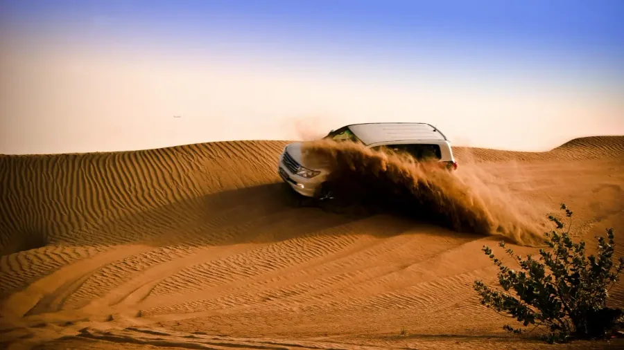 Desert adventure photo 44
